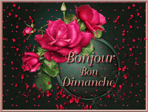 Gif animé Bon dimanche chat